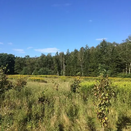 Vakantiehuus Holiday home Vaassen