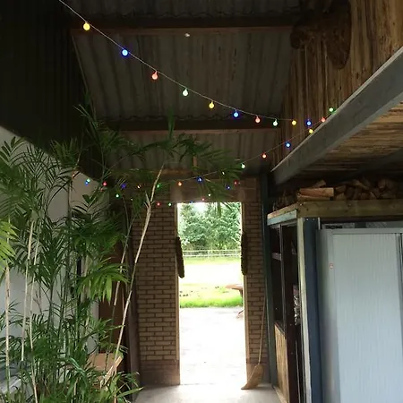 Vakantiehuus Holiday home *