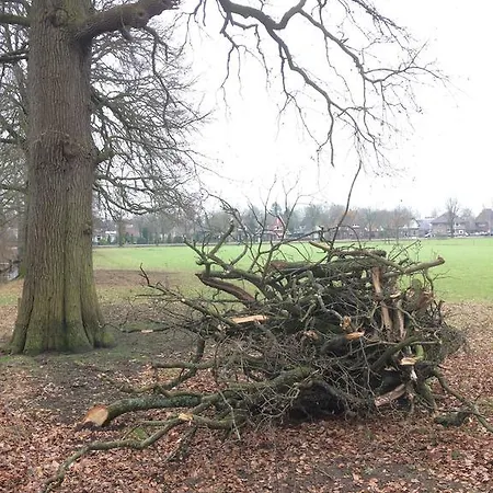 Vakantiehuus * Vaassen