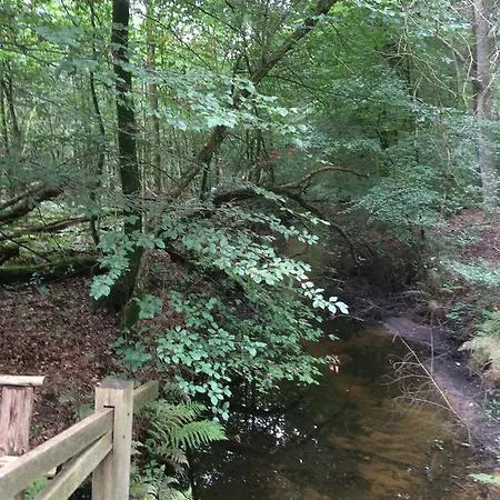Vakantiehuus * Vaassen
