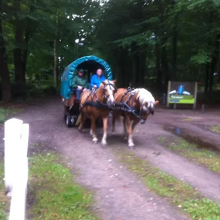 Holiday home Vakantiehuus Vaassen